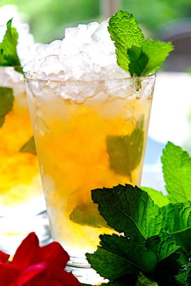 Mint Julep