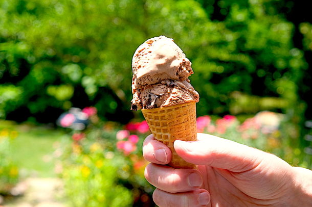 Chocolate Chunk Ice Cream