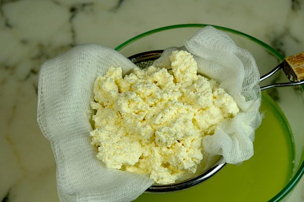 Homemade queso fresco